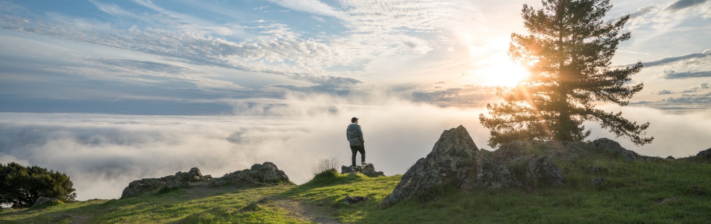 Future avec GREEN Conseil